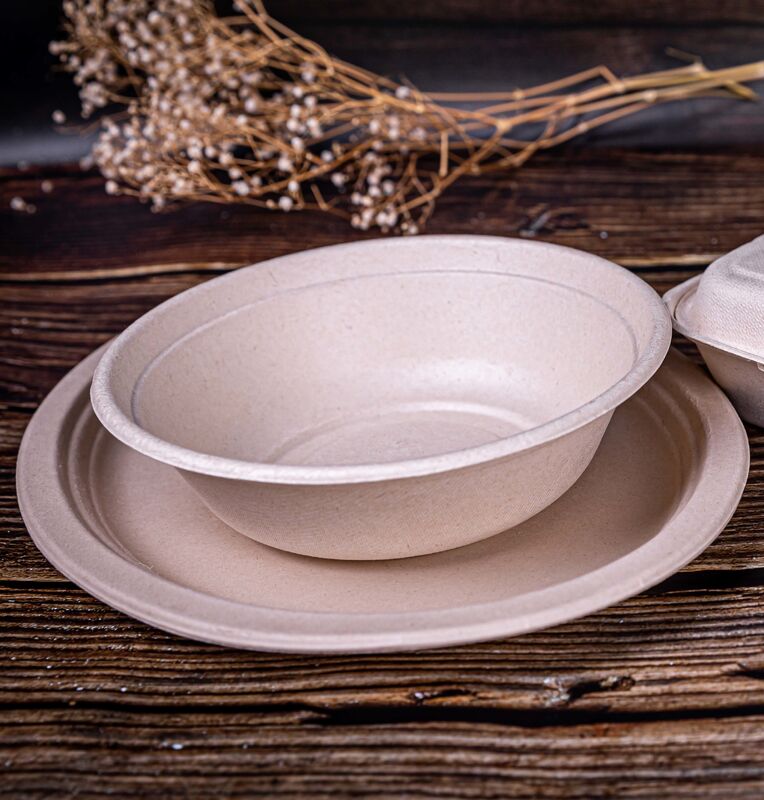 Quality 100% Eco-Friendly Biodegradable Compostable Sugarcane Plate Disposable Plate for Restaurants and Cafes factory