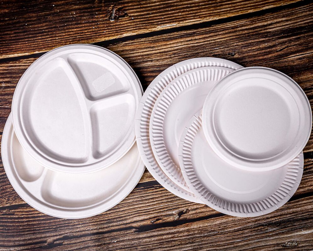 Quality 100% Eco-Friendly & Biodegradable Sugarcane Plate in 6" to 10" Sizes for Restaurants and Cafes factory