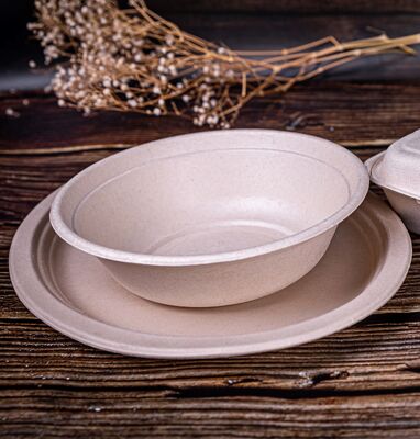 Quality 100% Eco-Friendly Biodegradable Compostable Sugarcane Plate Disposable Plate for Restaurants and Cafes factory