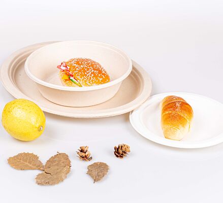 Quality 100% Eco-Friendly Biodegradable Compostable Sugarcane Plate Disposable Plate for Restaurants and Cafes factory