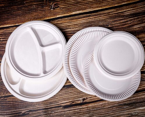 Quality 100% Eco-Friendly & Biodegradable Sugarcane Plate in 6" to 10" Sizes for Restaurants and Cafes factory
